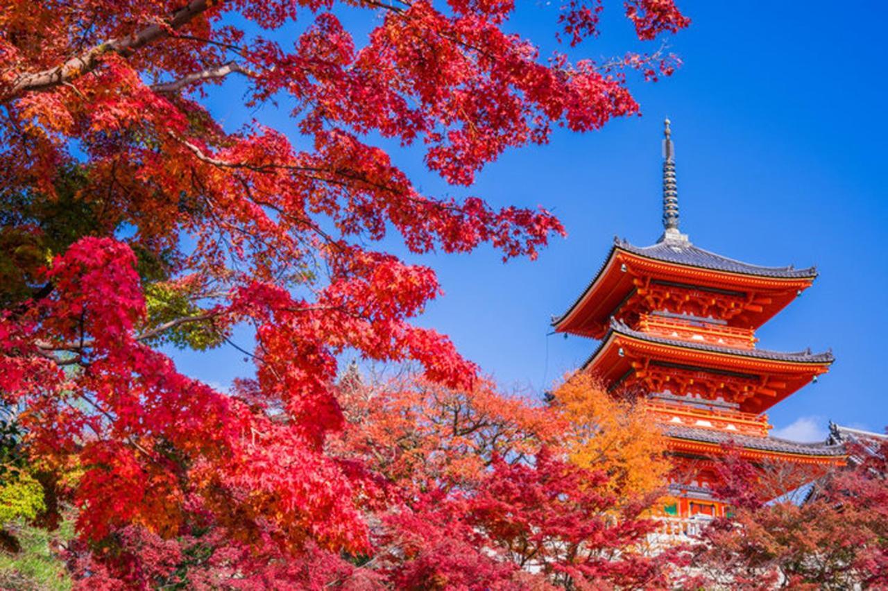中川西 地下鉄今里駅一戸建 Samurai House Guest House Imazato 難波直通 最大7名 โอซาก้า ภายนอก รูปภาพ