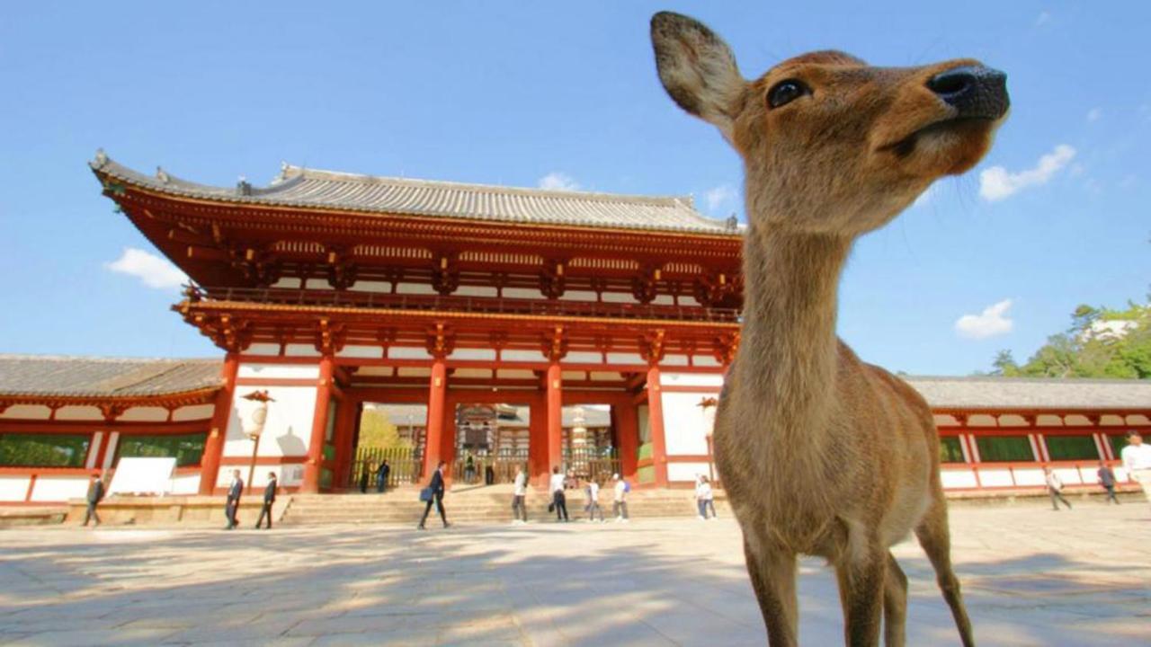 中川西 地下鉄今里駅一戸建 Samurai House Guest House Imazato 難波直通 最大7名 โอซาก้า ภายนอก รูปภาพ